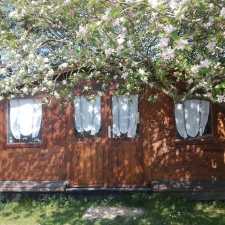 Chambre Studio Photo Chalet Sdb Partagee A Proximite Chavagne Екстер'єр фото